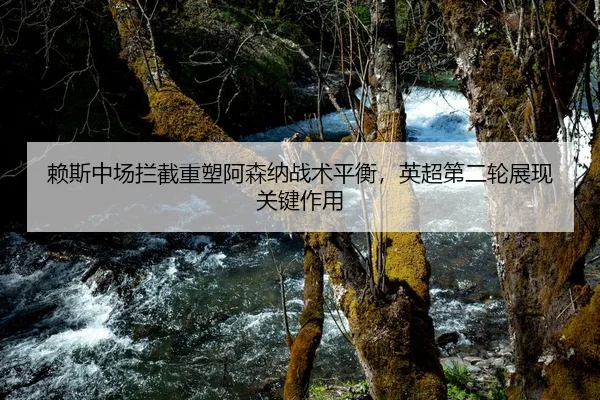 赖斯中场拦截重塑阿森纳战术平衡，英超第二轮展现关键作用